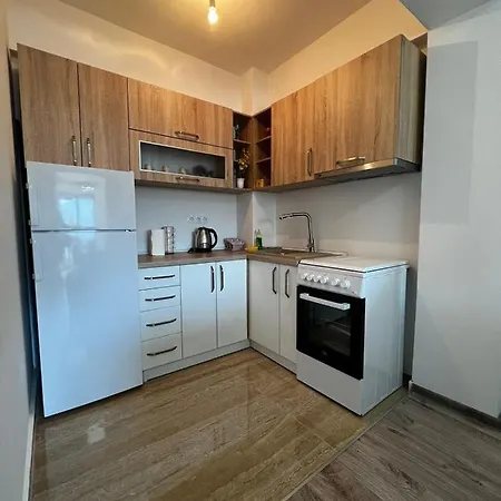 Paradise * 포지니카