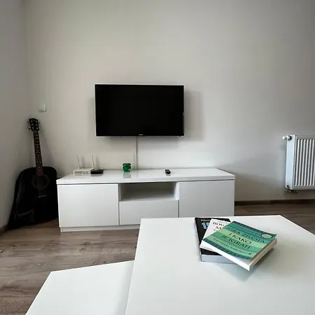 Paradise 포지니카